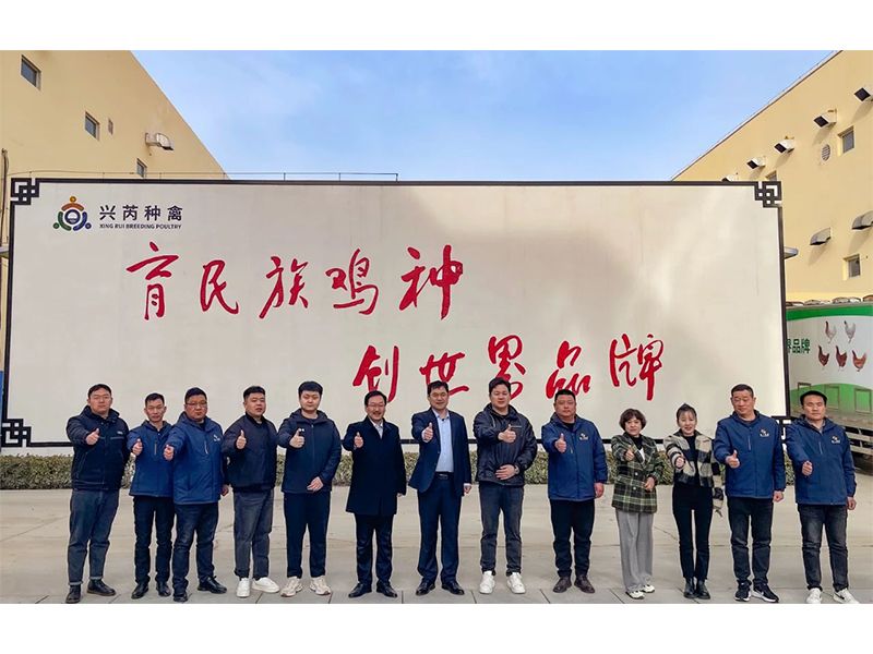 參觀學習促進步 交流合作贏發(fā)展︱卓一牧業(yè)赴興芮種禽、峪口禽業(yè)與瑞普生物參觀訪學