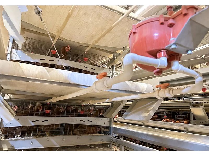 養(yǎng)殖場如何做到飲水安全？