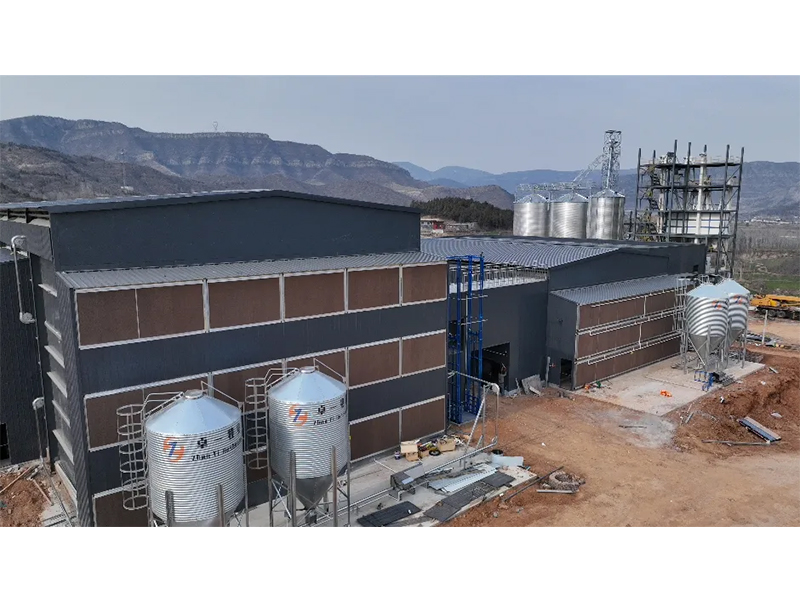 夏季養(yǎng)雞僅關(guān)注溫度環(huán)境？飼料安全須高度重視！