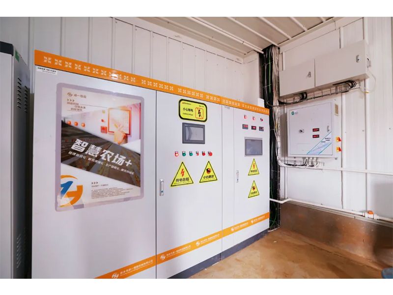 環(huán)境多變，春季養(yǎng)雞如何通風(fēng)？