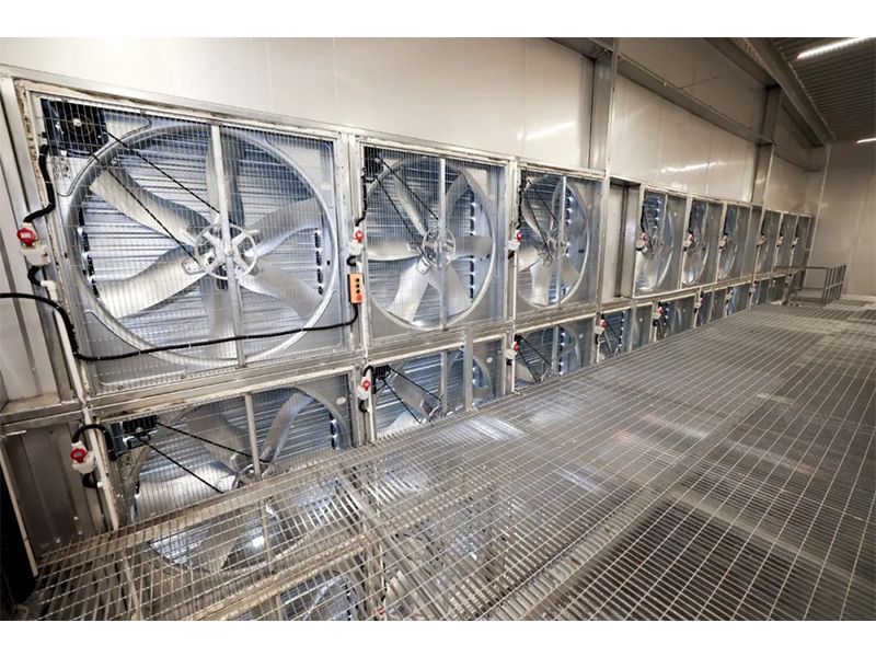 春夏氣溫驟升之際，雞舍應(yīng)該采取哪些應(yīng)對措施？