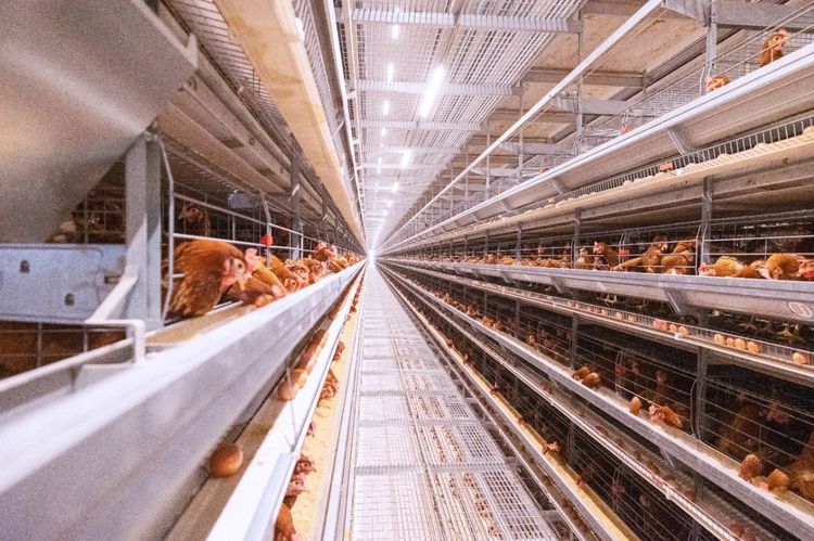 夏季來臨，使用水簾時(shí)需要注意哪些事項(xiàng)？